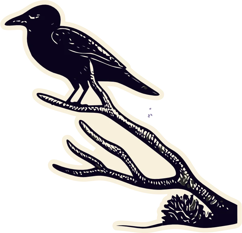 crow on branch