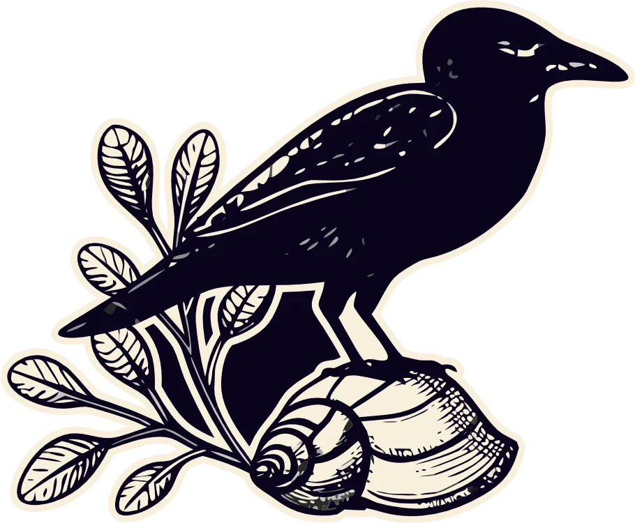 crow on shell