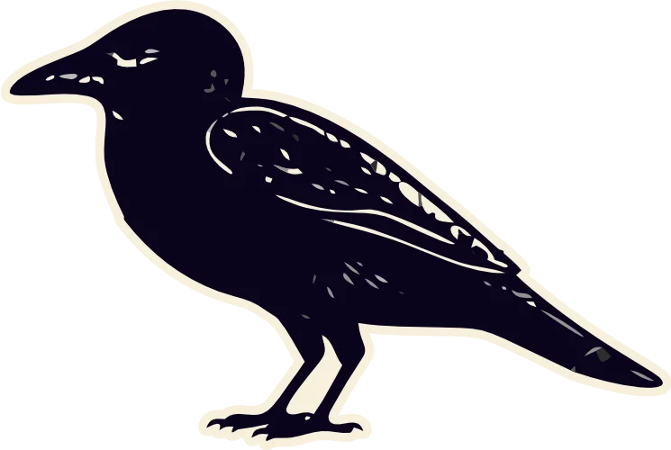 crow