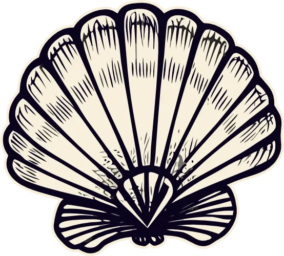 shell