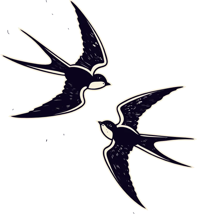 swallows